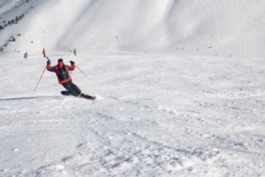 mono-ski